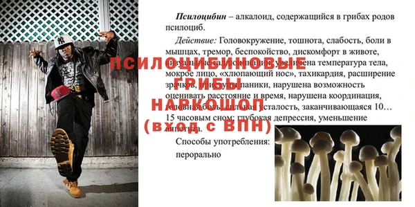 стафф Нефтегорск