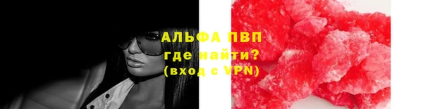 стафф Нефтегорск