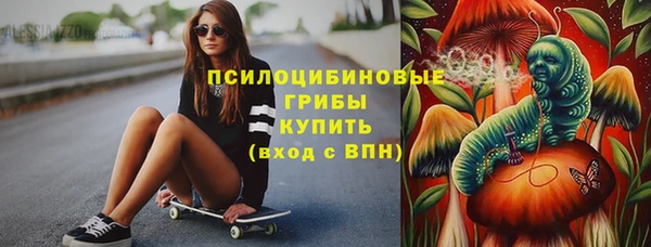 PSILOCYBIN Нефтекумск